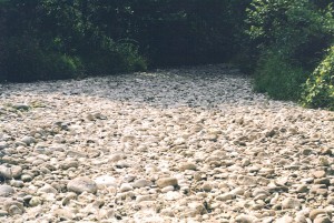 <p>The Weekeepeemee River in Litchfield County, during drought conditions in 1999. Photo supplied by Ed Edelson</p>