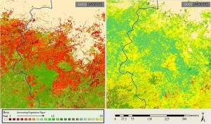 Satellite images of Darfur, Sudan, from 2003 (left) and 2007 show a steady increase in vegetation coverage in former agrarian and livestock grazing areas. This suggests a significant reduction in the number of livestock, which correlates with systematic violence in the region during the same period. Copyright Russell Schimmer, originally published by the Yale Genocide Studies Program  