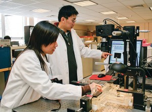 Wei Sun, right, assistant professor of biomedical engineering and mechanical engineering, and graduate student Thuy Pham. Photo by Christopher LaRosa