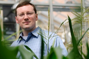 <p>Michael Raab stands with stalks of corn growing in a greenhouse at the Agriculture Biotechnology Building. Raab is president of Agrivida a business participating in the Technology Incubation Program.   Photo by Peter Morenus</p>