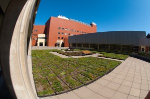 <p>A side view of the green roof. Photo by Frank Dahlmeyer</p>