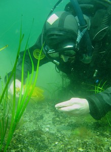 <p>David Robinson, a graduate student in anthropology, conducts archaeological research underwater. Photo supplied by David Robinson</p>