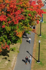 <p>Students walk on the Student Union Mall, as seen from the roof of the Student Union. Photo by Peter Morenus</p>