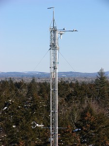 <p>A meteorological tower in the Howland Forest. Photo by Mark Rudnicki</p>