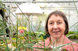 <p>Carol Auer, associate professor of plant science and landscape architecture, in the Floriculture Greenhouse. Photo by Frank Dahlmeyer</p>
