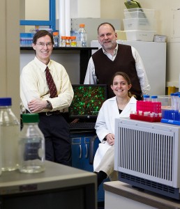 <p>Researchers, from left, Dr. Jonathan Covault, Dr. Henry Kranzler, and Stormy Chamberlain. Photo by Lanny Nagler</p>