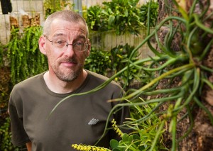 <p>Clint Morse, manager of growth operations for the ecology and evolutionary biology department, in the Epiphyte Room of the EEB greenhouse. The epiphyte shown at right is a Tillandsia bulbosa (or "dancing bulb"). Photo by Frank Dahlmeyer</p>