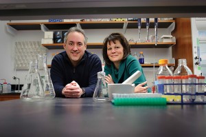 <p>Researchers Amy Anderson and Dennis Wright are developing new strategies and drugs to treat infections.</p>
