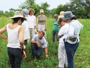 <p>UConn Master Gardeners and students tend a wildlife sanctuary in Stamford.</p>
