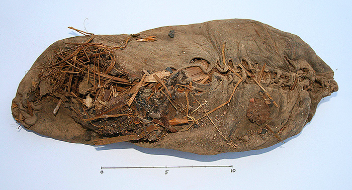 <p>The perfectly preserved 5,500 shoe that was discovered in Armenia, stuffed with grass. Photo supplied by University College Cork</p>