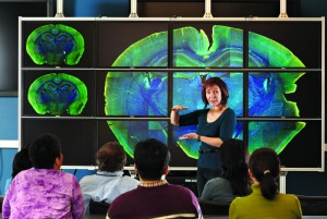 Elena Edelstein, system administrator, explaining the functions of a 12 panel computer display wall with 50 million pixels.