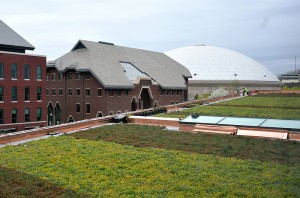 <p>Workers from Greenwood Industries of Millbury Mass plant the green roof of the energy-efficient West Classroom Building.</p>