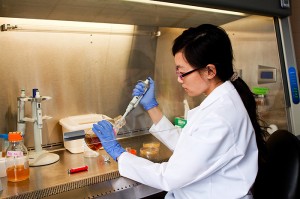Jinzi Deng, a researcher pursuing her Ph.D. in Chemical Engineering, works under the guidance of assistant professor Dr. Leslie Shor (Chemical, Materials & Biomolecular Engineering). Dr. Shor’s research in microfluidic devices studies the behavior of two bacteria, Pseudomonas aeruginosa and Staphylococcus aureus.