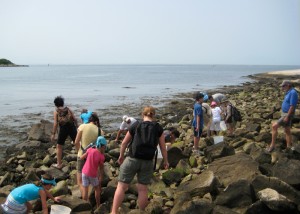 Project Oceanology participants investigate the rocky intertidal zones and tidal marshes looking for near-shore marine life.