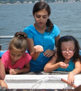 Emma Ruccio of Southington, Julia Connelly of Paris, France, and Isabel Pavlonnis of Canton investigate marine life netted from Long Island Sound.