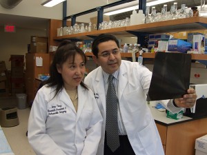 A $650,000 grant from the Connecticut Stem Cell Research Advisory Committee will support Hicham Drissi's work in the area of treating a type of cartilage damage. He is pictured with Amy Tang in a New England Musculoskeletal Institute lab. (/UConn Health Center Photo)