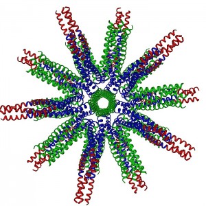 The nanoparticle carrier molecule developed by Burkhard and his colleagues to deliver nicotine to the immune system. The red portions on the edges represent nicotine molecules.
