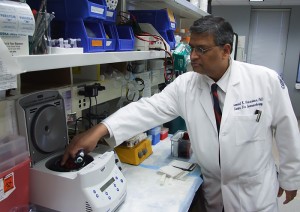 Dr. Pramod K. Srivastava, director of the Neag Comprehensive Cancer Center, in his lab. (Chris DeFrancesco/UConn Health Center Photo)