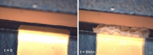 Two images showing a solid converting to a poorly soluble mass during dissolution in simulated stomach acid as it flows by the solid in the flow cell. The first image was taken at the start of the test. The second image, five minutes into the test (t=5 min), shows that the solid is not dissolving properly. (Images courtesy of Robin Bogner)