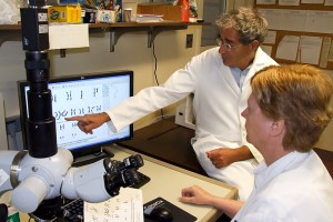 Judy Delach, cytogenetics supervisor, and Peter Benn in the Human Genetics Cytogenetics Lab. (Carolyn Pennington/UConn Health Center Photo)