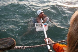 Slowing down and taking some nourishment from her crew in the support boat during Fry's 2003 Channel crossing. (Photo courtesy of Elizabeth Fry)