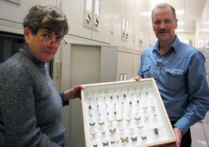 David Wagner, professor of ecology & evolutionary biology, and Jane O'Donnell, manager of scientific collections. (Sheila Foran/UConn Photo)
