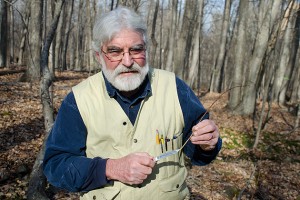 Tom Worthley, assistant extension professor, strips a shoot from a Barberry bush, revealing a distinctive yellow interior. (Ariel Dowski '14 (CLAS)/UConn Photo)