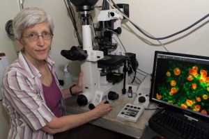 Betty Eipper, professor of neuroscience and molecular, microbial and structural biology, was selected as the 2012 recipient of the Osborn Biomedical Science Graduate Teaching Award. (Tina Encarnacion/UConn Health Center Photo)
