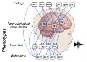 Environment, genetics, neurobiology, cognition, and behavior all have a role in human language, as this figure from the grant proposal illustrates.