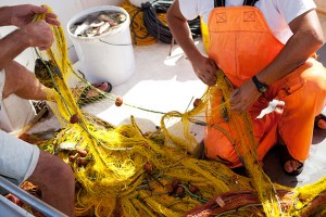Repairing fishing nets. Catch limits have been hotly debated.