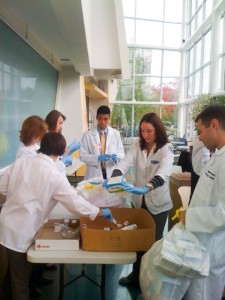 Pharmacy students sort through medications at the 2012 Drug Take Back Day. (Photo provided by John Dobbins) 