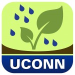Rain garden app logo