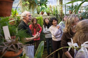 Emeritus professor Terry Webster began his career at UConn in 1965, two years after the EEB greenhouses were opened. He says, "The older a greenhouse gets, the more it acclimates. It settles into a maturity that lends itself to the plants growing there." (Sean Flynn/UConn Photo)