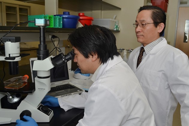 ImStem Biotechnology’s Xiaofang Wang, seated, and Ren-He Xu. (Tina Encarnacion/UConn Health Photo)