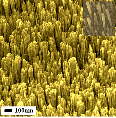 A scanning electron microscopy image of later stage gold nanorods about 1,000 nanometers long, produced by physical vapor deposition. Inset (top right) shows well-separated copper nanorods at an earlier stage of development. UConn researchers have developed a way to produce well-separated metallic nanorods as small as 10 nanometers in diameter, the smallest ever reported using physical vapor deposition.