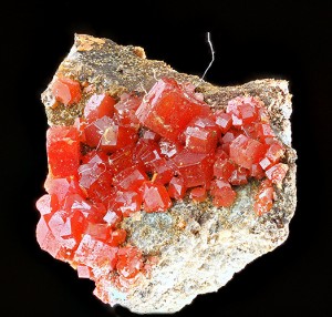 Vanadanite (0.8 mm x 0.4 mm) (Photos by Mark Smith)