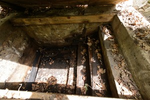 A view showing the wooden steps of a former mikvah.. (Peter Morenus/UConn Photo)