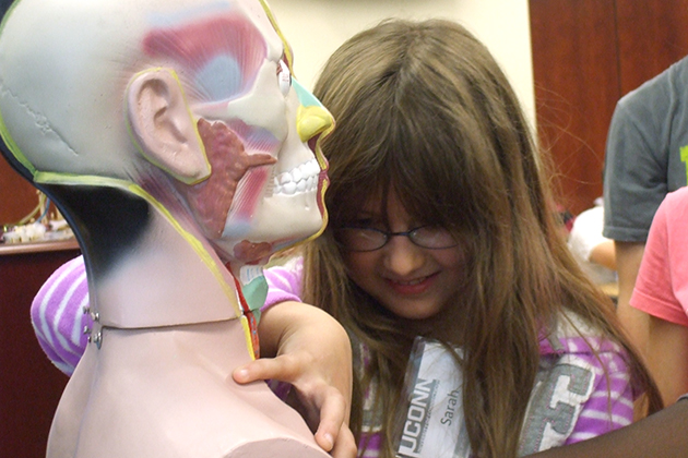 Sarah Metcalf learns about anatomy at the Biomedical Engineering Camp, part of KASET. (Cathy Torrisi/UConn Photo)