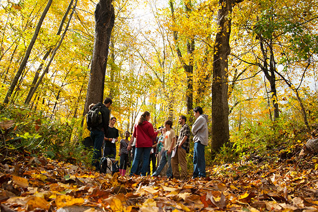 Jenica Allen, assistant professor-in-residence, teaches an outdoor ecology class in the UConn Forest. (Sean Flynn/UConn Photo)
