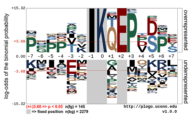 A pLogo representing the protein sequences modified by the SUMO-family of enzymes.