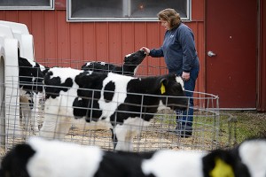 Mary Margaret Cole greets members of the next generation of milk producers at UConn. (Peter Morenus/UConn Photo)