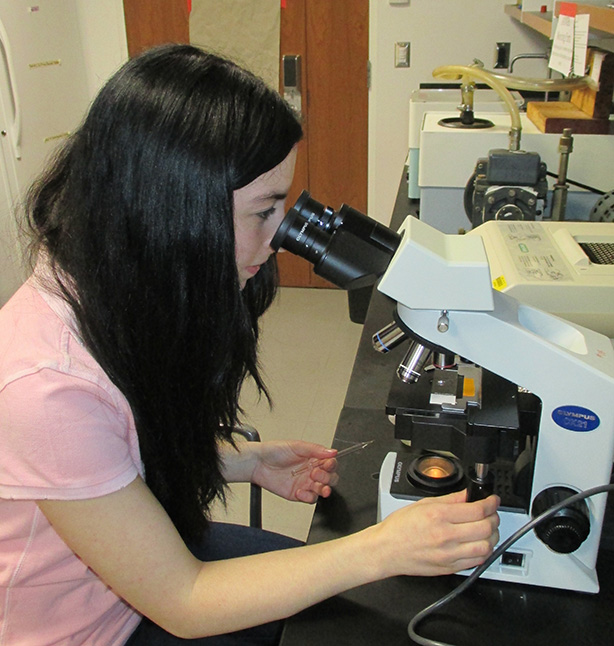 Emily Behling '15 (CLAS), a biology major, looks for microscopic plant parts under a microscope in a lab in the Department of Ecology and Evolutionary Biology. (Photo by Jean-François Lamarre)