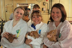 (L-R) Jennifer Kruzansky '14 (CAHNR), Molly Deegan '15 (CAHNR), and Ph.D. student Julie Campbell meeting some of the piglets at the Friest Farm in Radcliffe, Iowa.