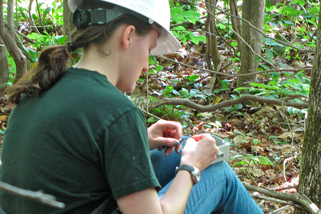 Bailey McNichol '15 (CAHNR) prepares a biaxial inclinometer to be attached to a tree. (Sheila Foran/UConn Photo)