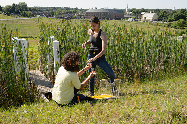 Eva Nelson '15 (CAHNR), left, and Emily McInerney '15 (CAHNR) take air samples from a wetland near the Kellogg Dairy Center. (Peter Morenus/UConn Photo)