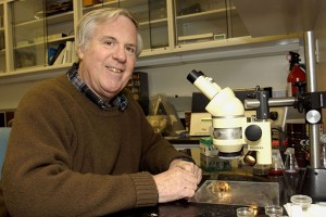 William Chapple, professor of physiology and neurobiology. (Shannon McAvoy/UConn File Photo)
