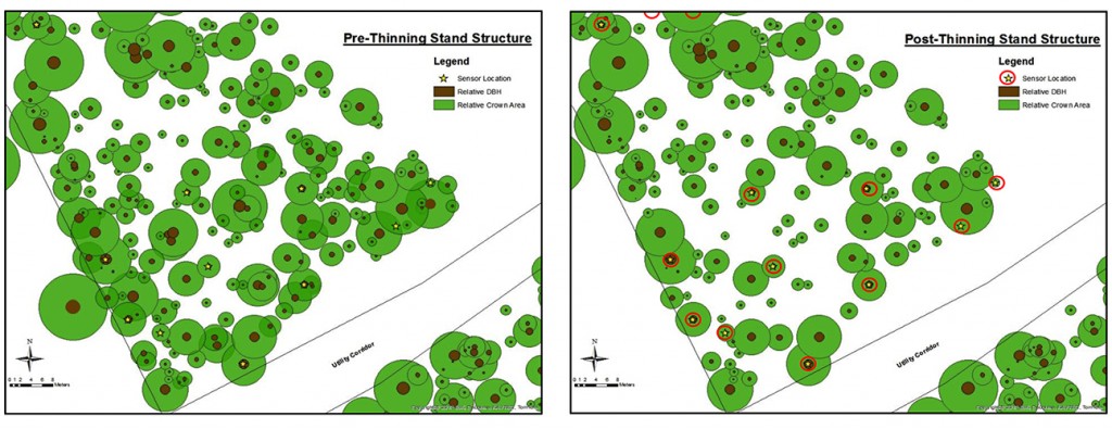 Image from the Stormwise Webinar courtesy of UConn's Center for Land Use Education and Research (CLEAR)