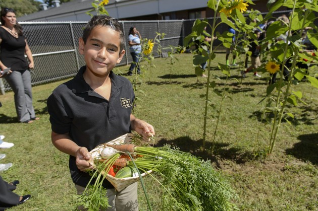 A student at Goodwin Elementary School in East Hartford displays vegetables he has harvested. (Peter Morenus/UConn Photo)