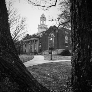 A view of trees and the Wilbur Cross Building on Dec. 4, 2014. (Peter Morenus/UConn Photo)