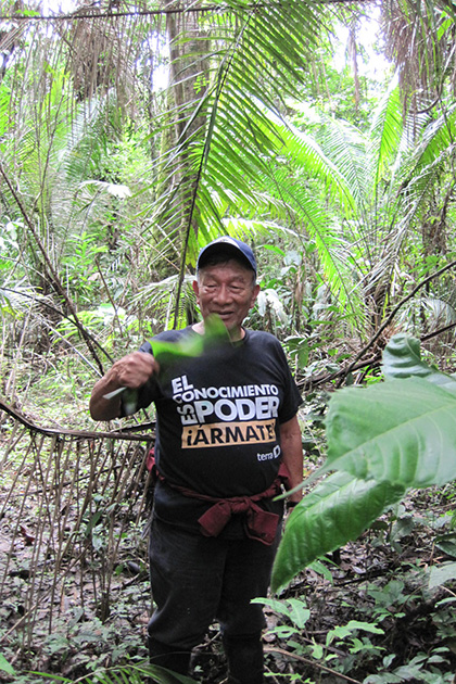 Shaman Don Antonio in the Peruvian rain forest, teaching about native plants. (Mariah McAlister)